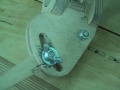 Guide d'aiguisage variable (finger-nail)