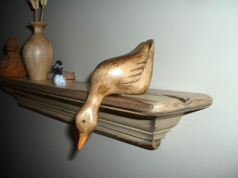 Canard curieux 